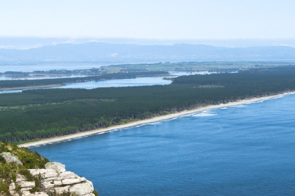 Matakana